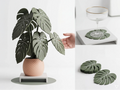 Monstera – Plante décorative et sous-verres 🌿🍹